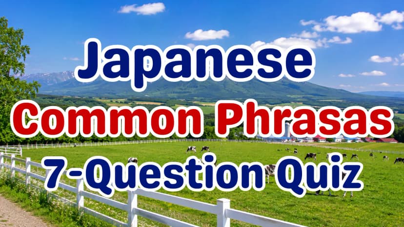 Japanese Common Phrases Quiz